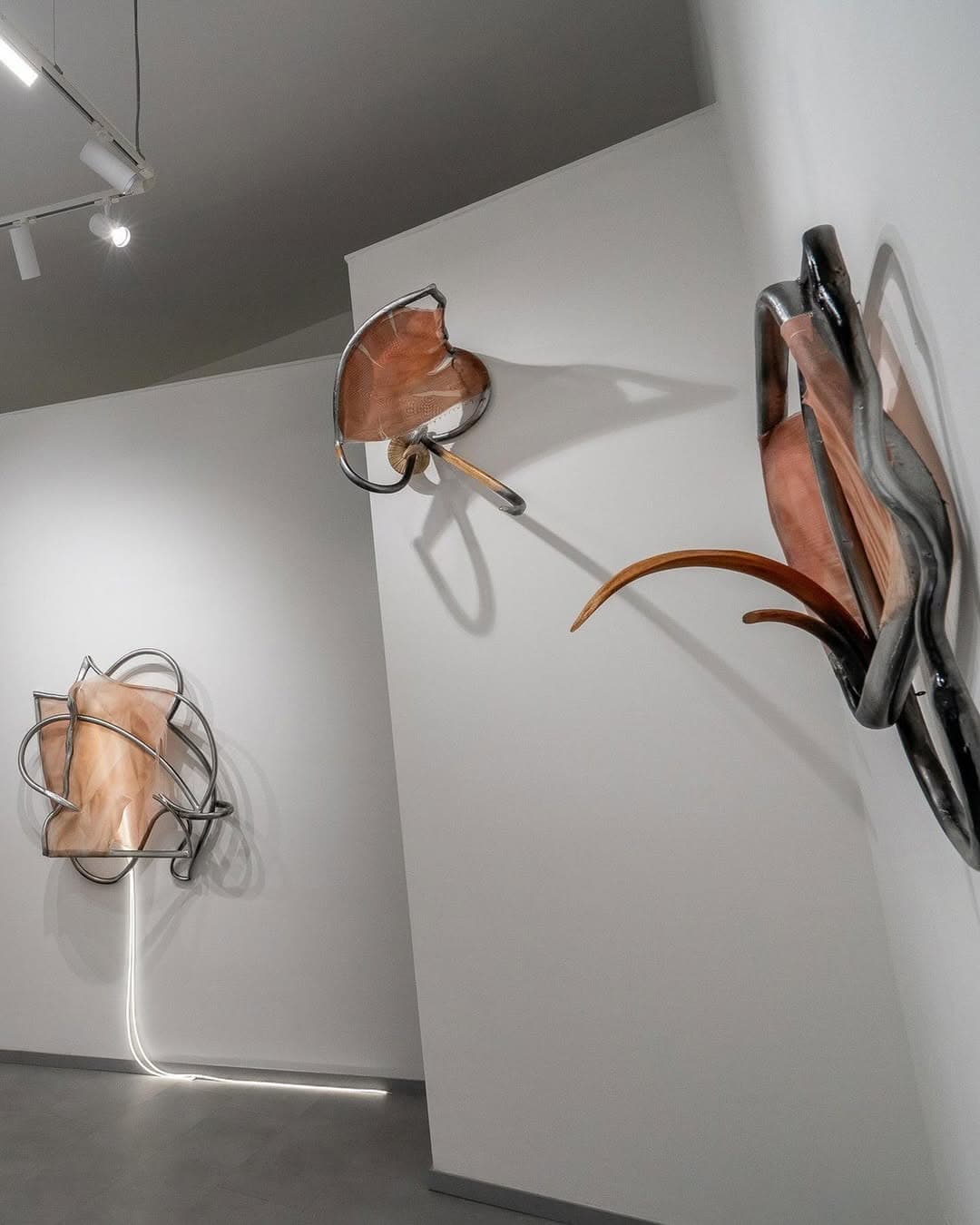 SKELETAL SCENES installation view 6