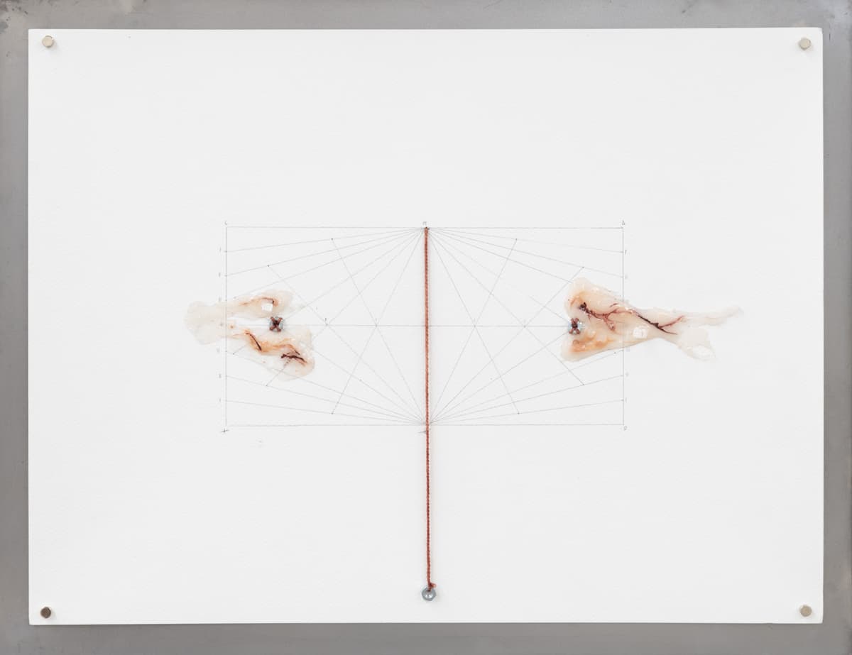 AXES installation view 16