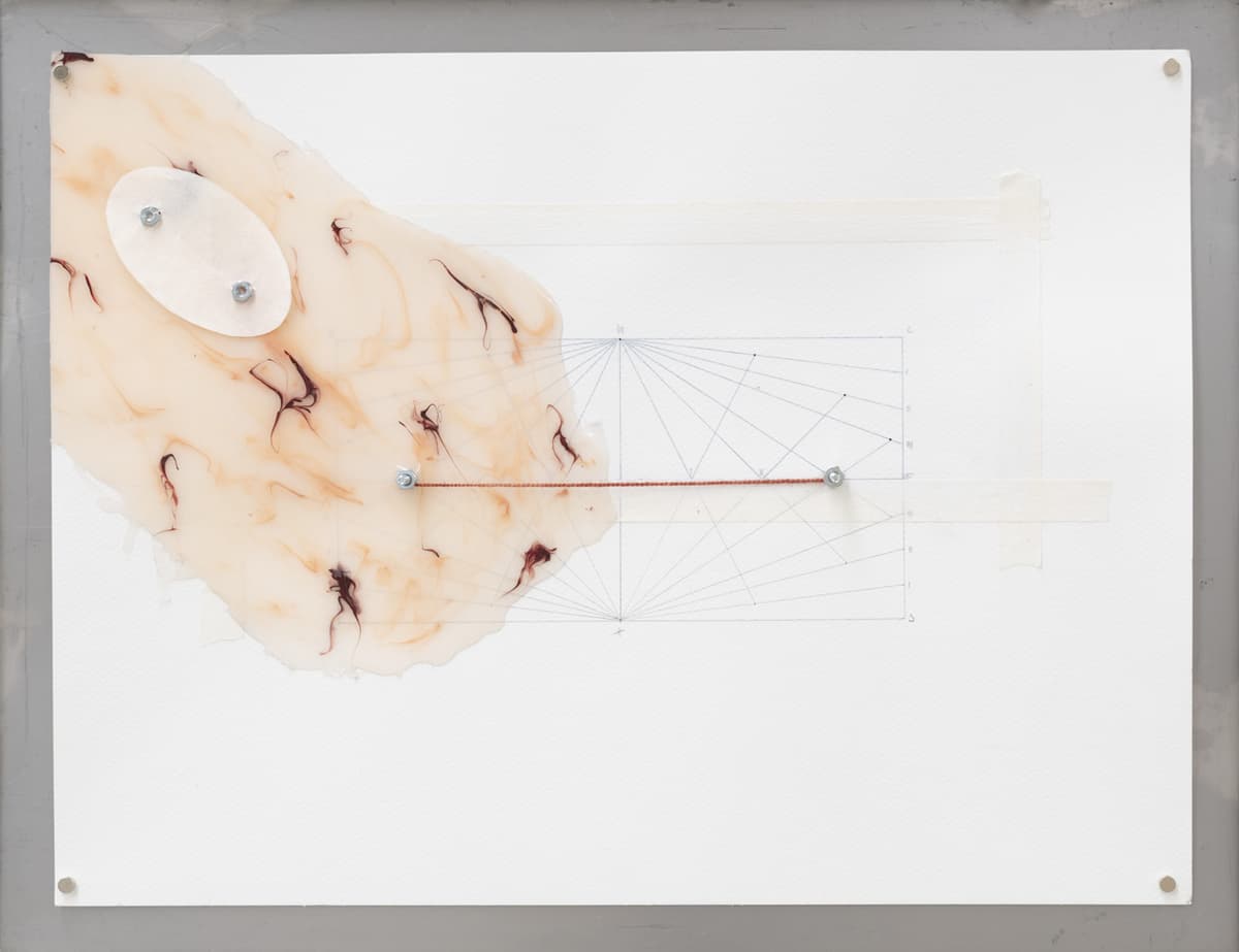 AXES installation view 17