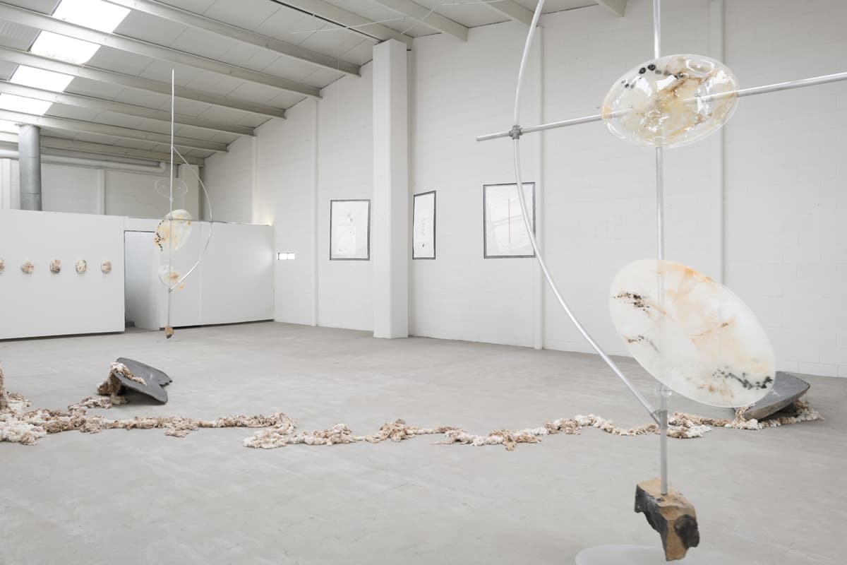 AXES installation view 9