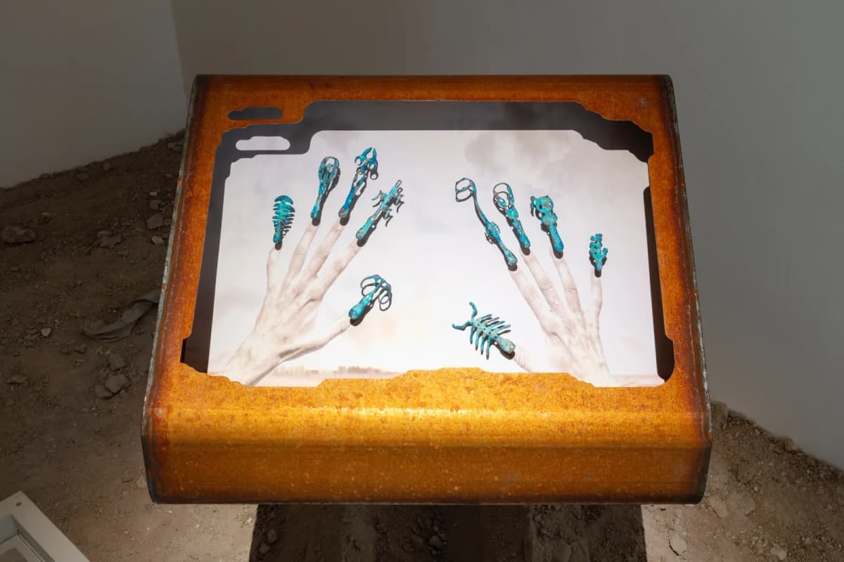Ancient Girl Starter Pack installation view 12