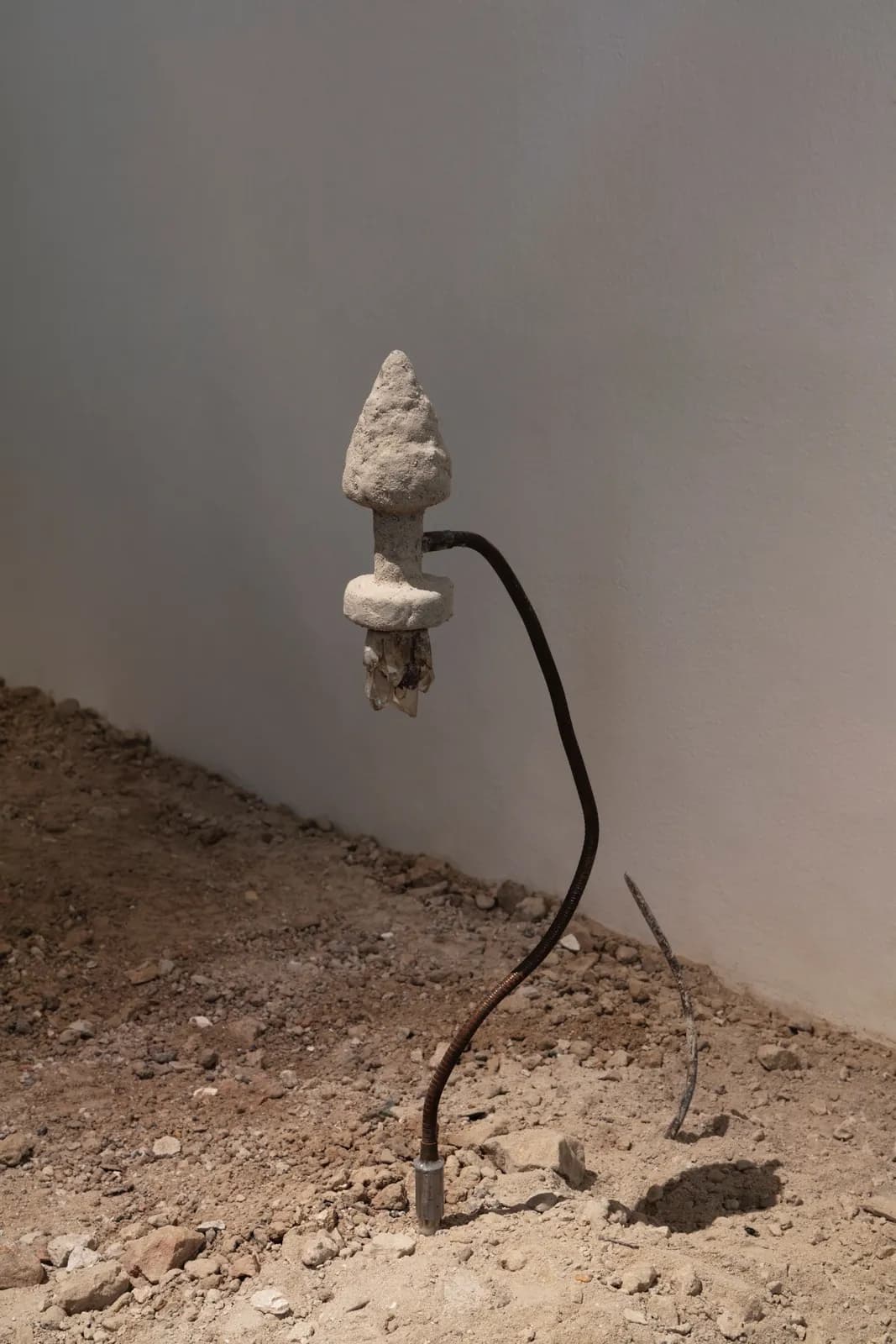 Ancient Girl Starter Pack installation view 3
