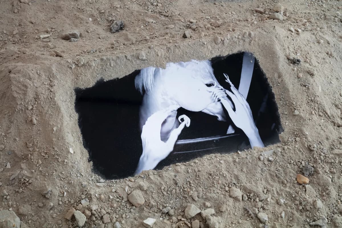 Ancient Girl Starter Pack installation view 5