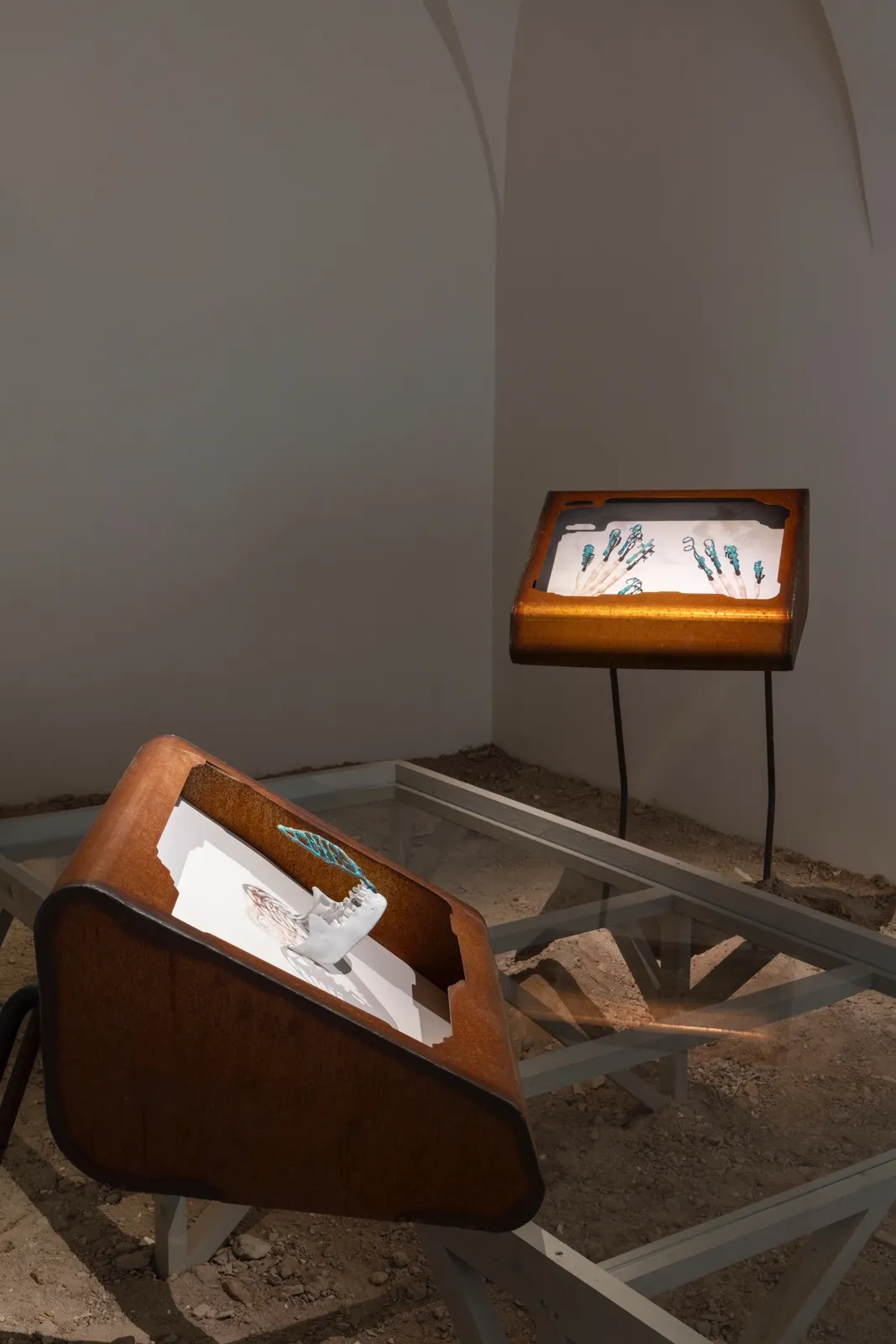 Ancient Girl Starter Pack installation view 8