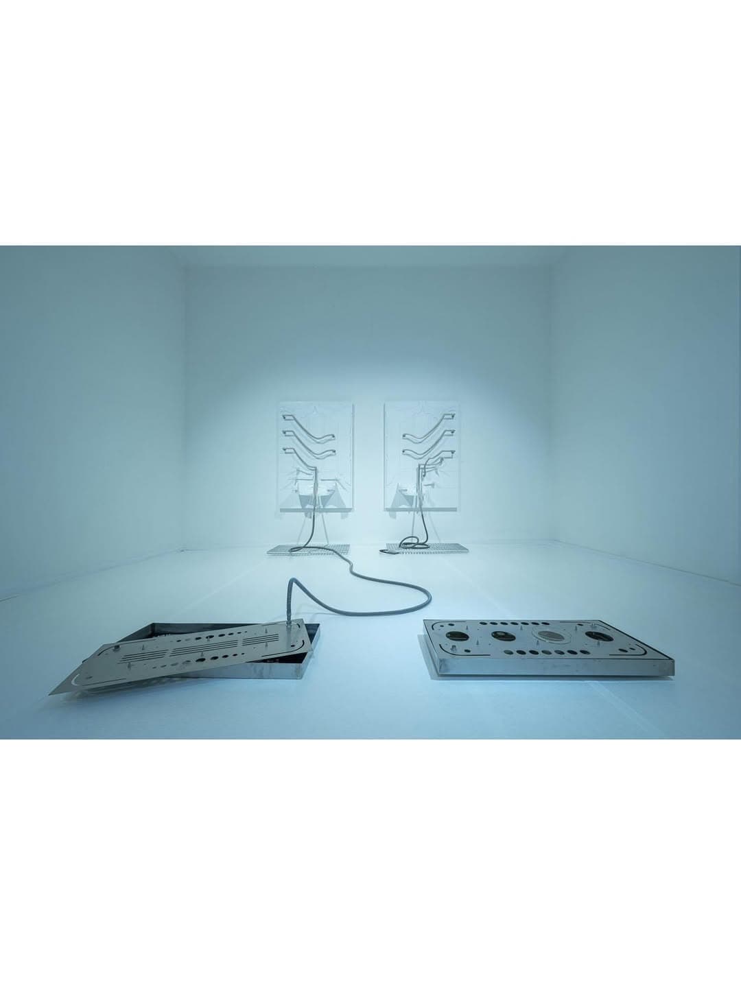 BEGONE ESTRONE installation view 4