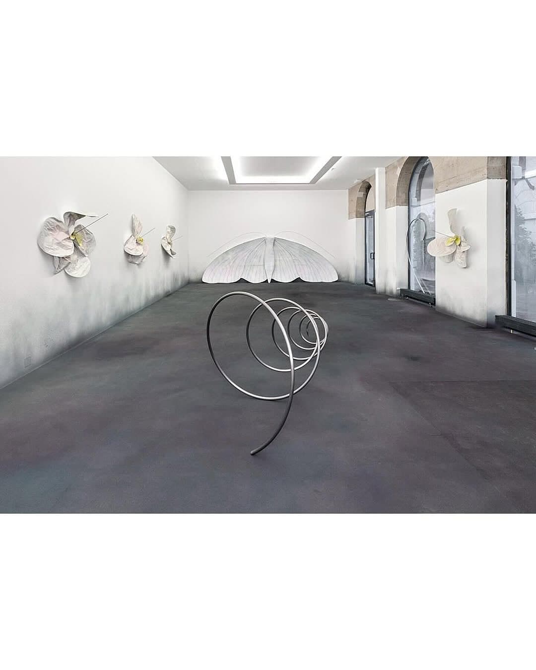 DOWN THE RABBIT HOLE, 2024 installation view 4