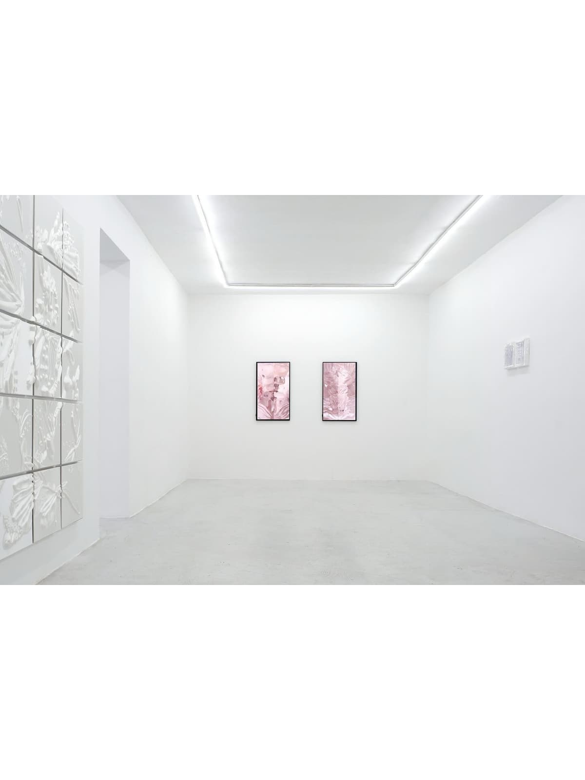 DESIRING MACHINES installation view 5