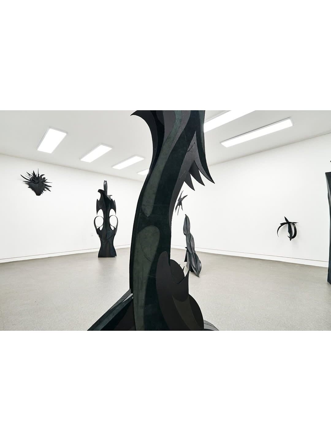 THIRD SKIN installation view 5