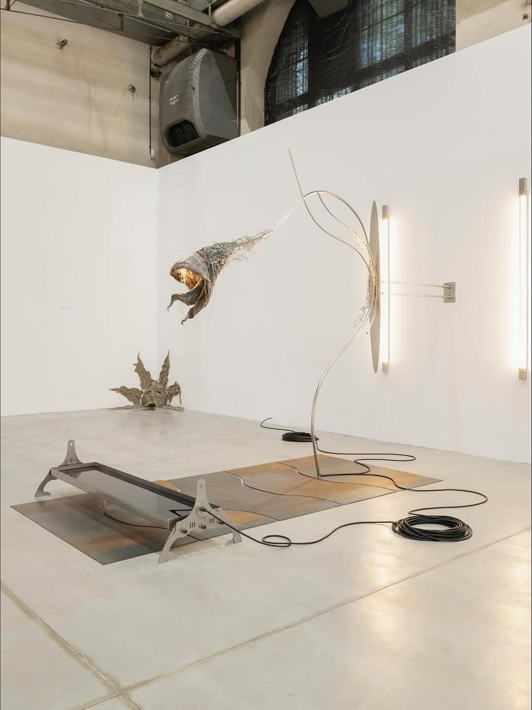 PARADISE ROT installation view 2