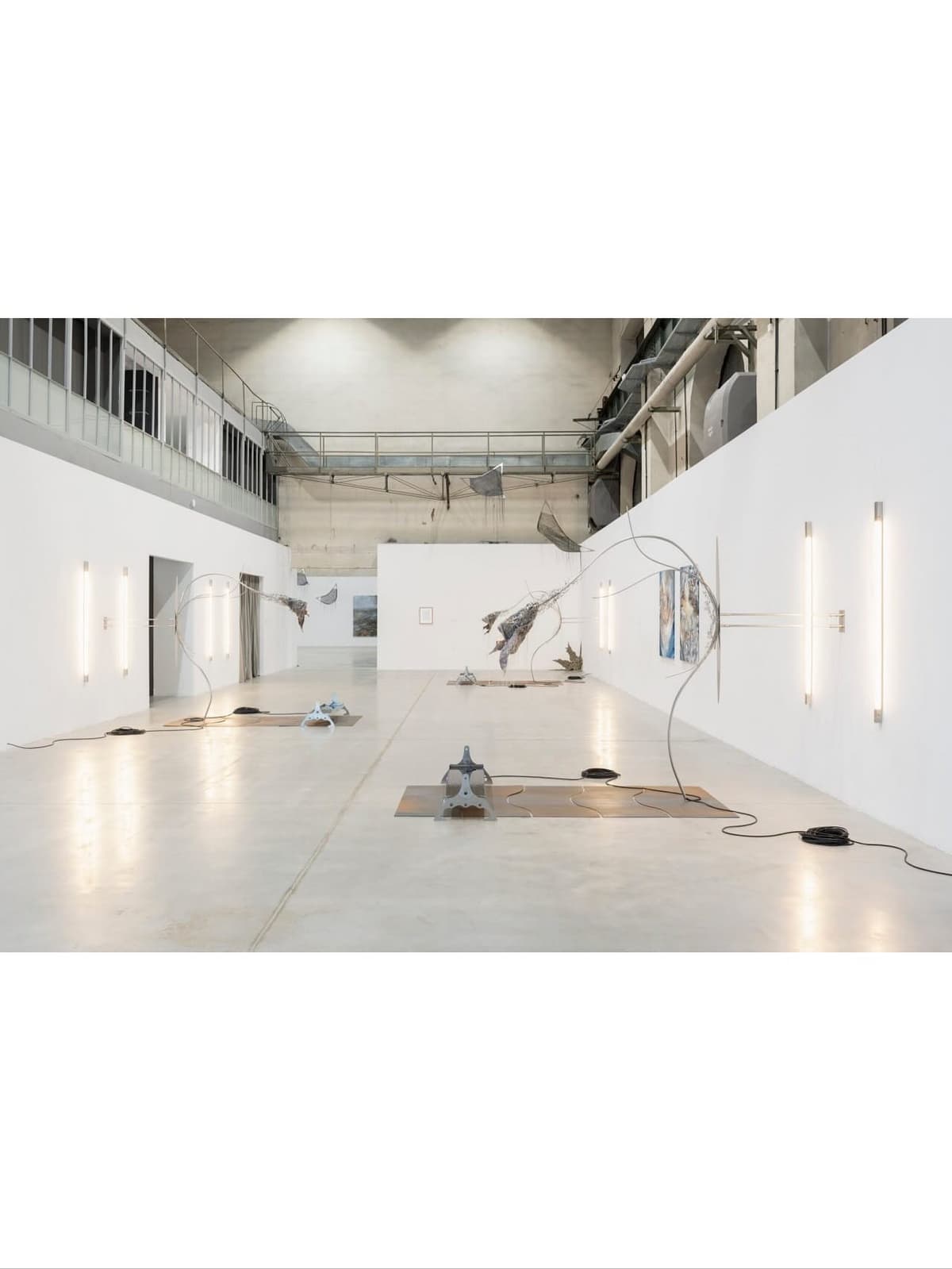 PARADISE ROT installation view 4