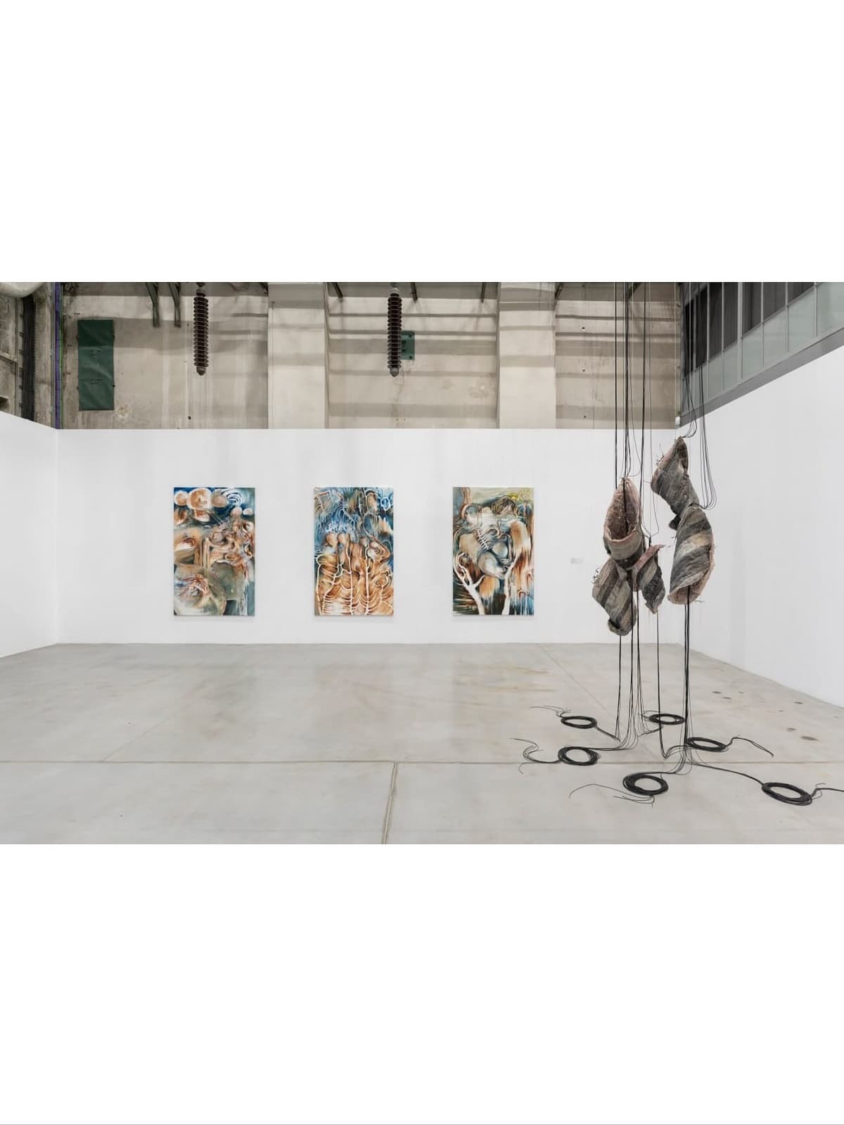 PARADISE ROT installation view 5