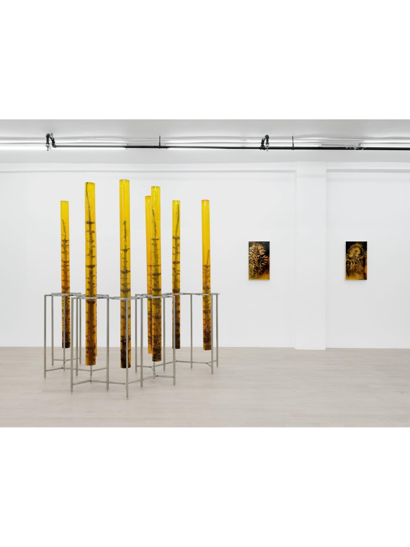 AUSSERKÖRPERLICHE ERFAHRUNG: WANDERING SPIRIT installation view 2