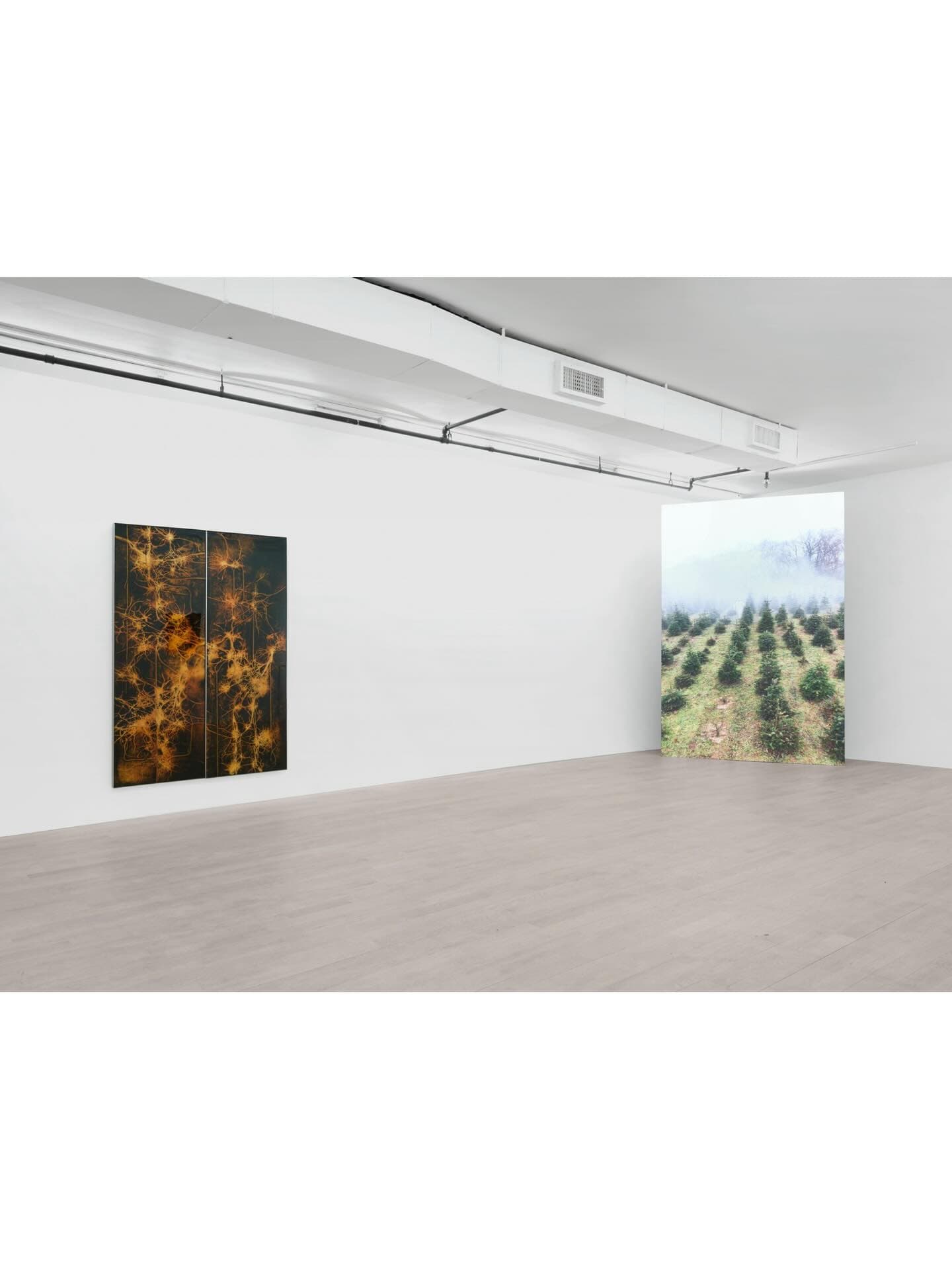AUSSERKÖRPERLICHE ERFAHRUNG: WANDERING SPIRIT installation view 6