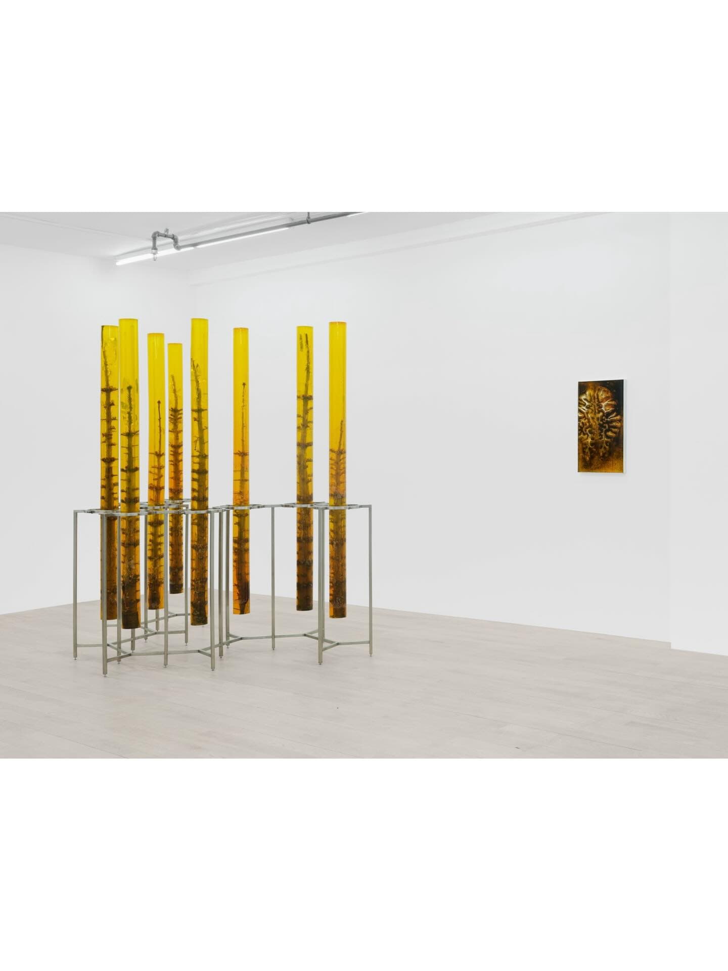 AUSSERKÖRPERLICHE ERFAHRUNG: WANDERING SPIRIT installation view 8