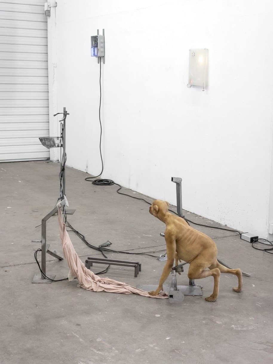 CHEWING GUM IN THE MOTHERBOARD installation view 2