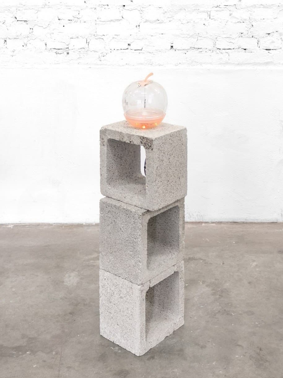 CHEWING GUM IN THE MOTHERBOARD installation view 5