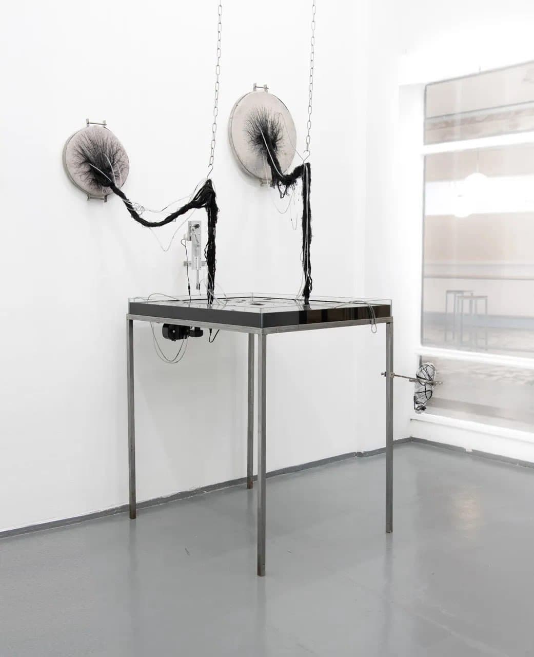 COAGVLA exhibition view