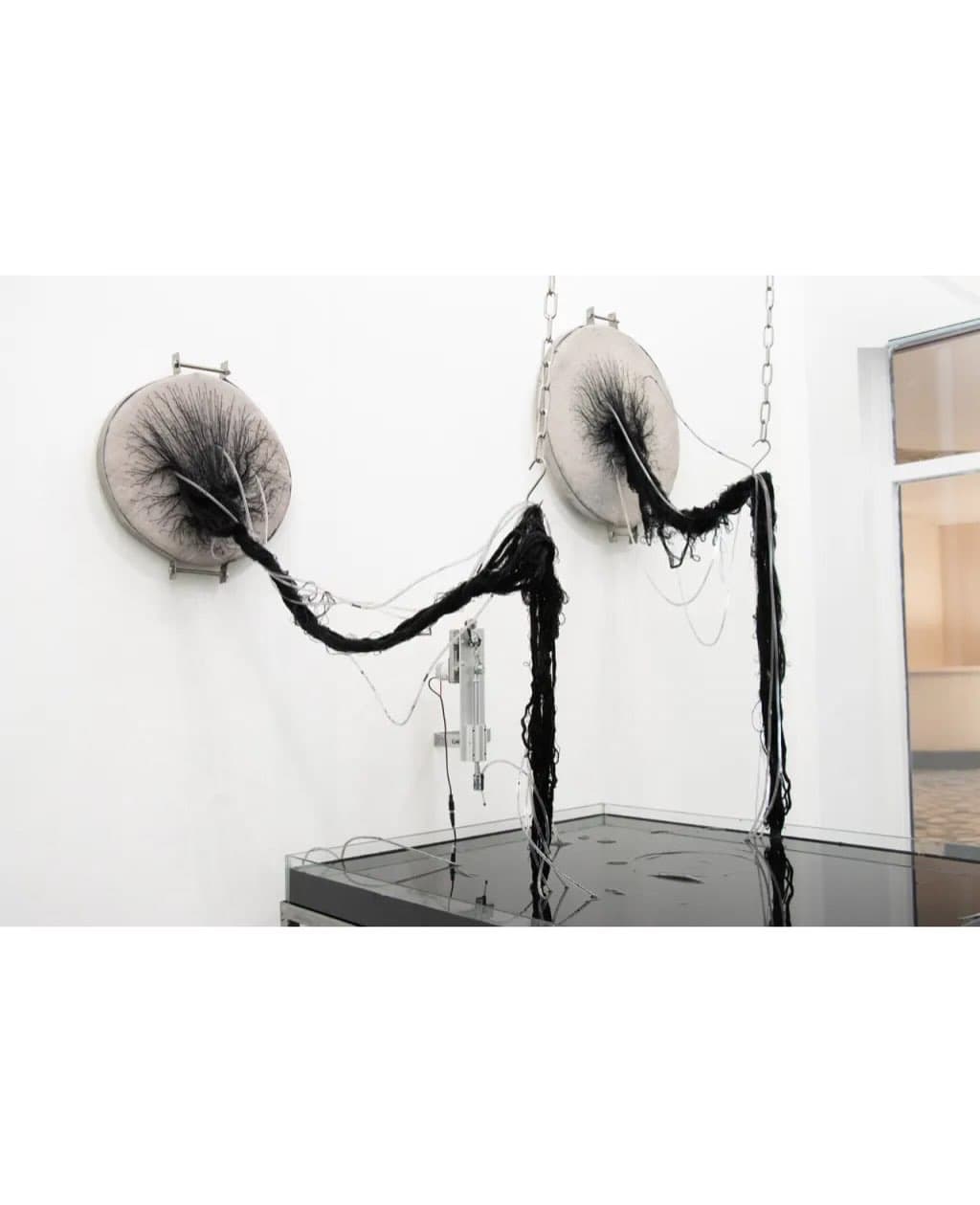 COAGVLA installation view 2