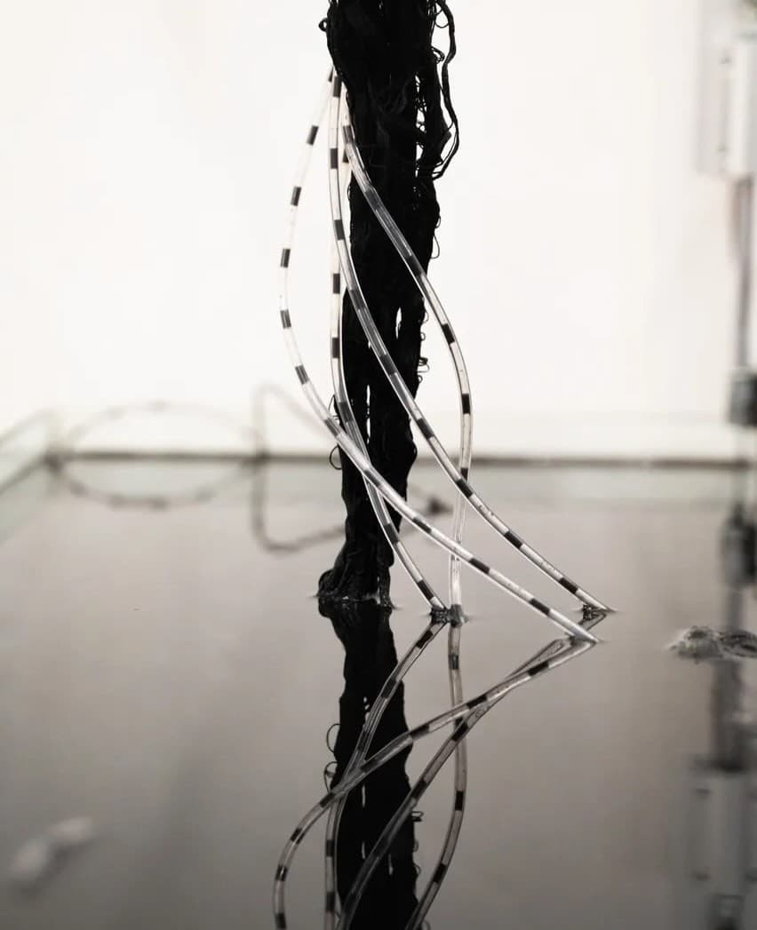 COAGVLA installation view 3