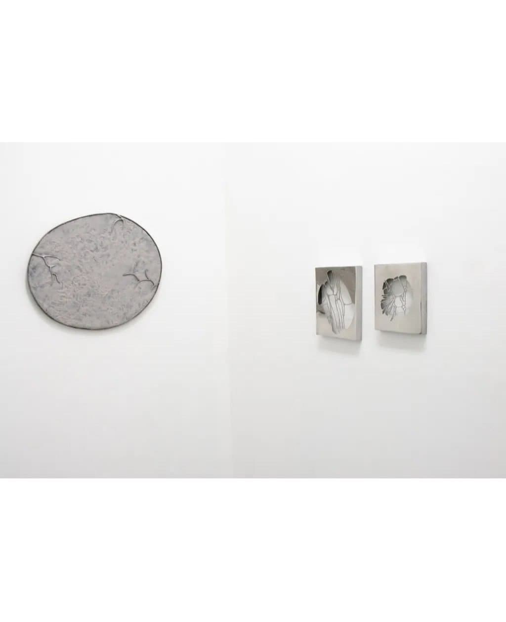 COAGVLA installation view 6