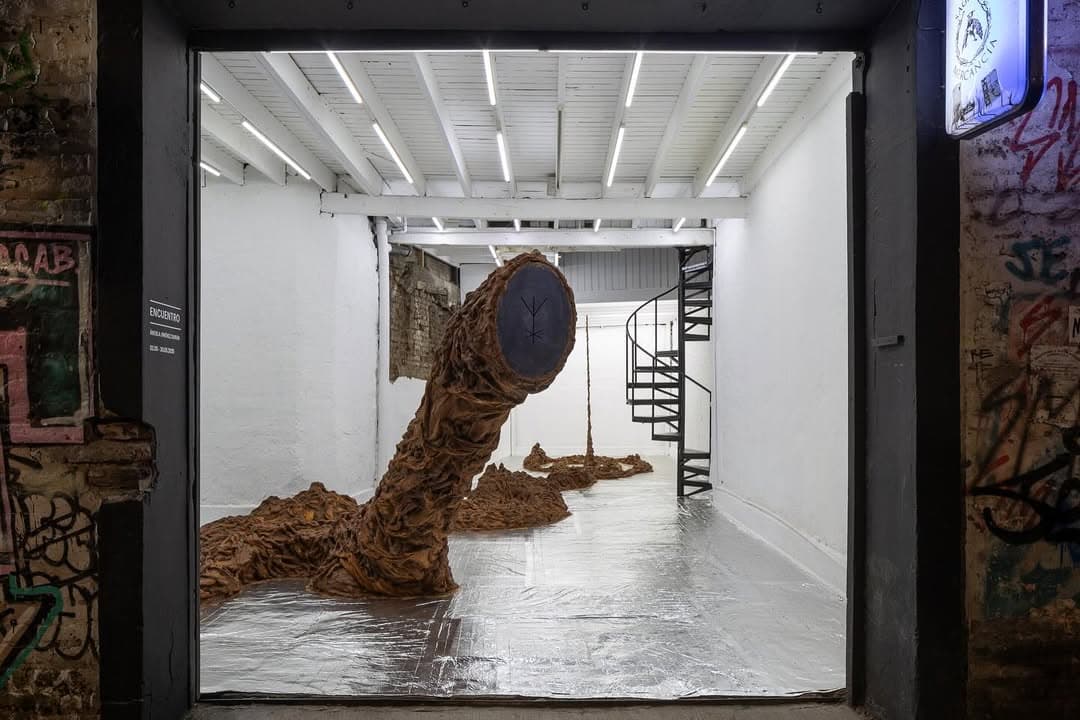 ENCUENTRO installation view 8