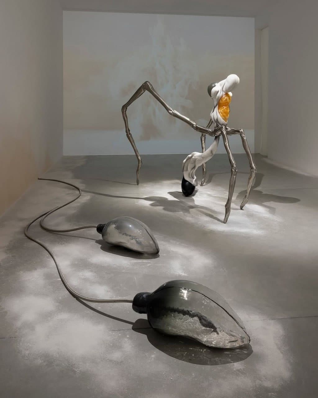 FANTASY VANISHES IN FLESH exhibition view