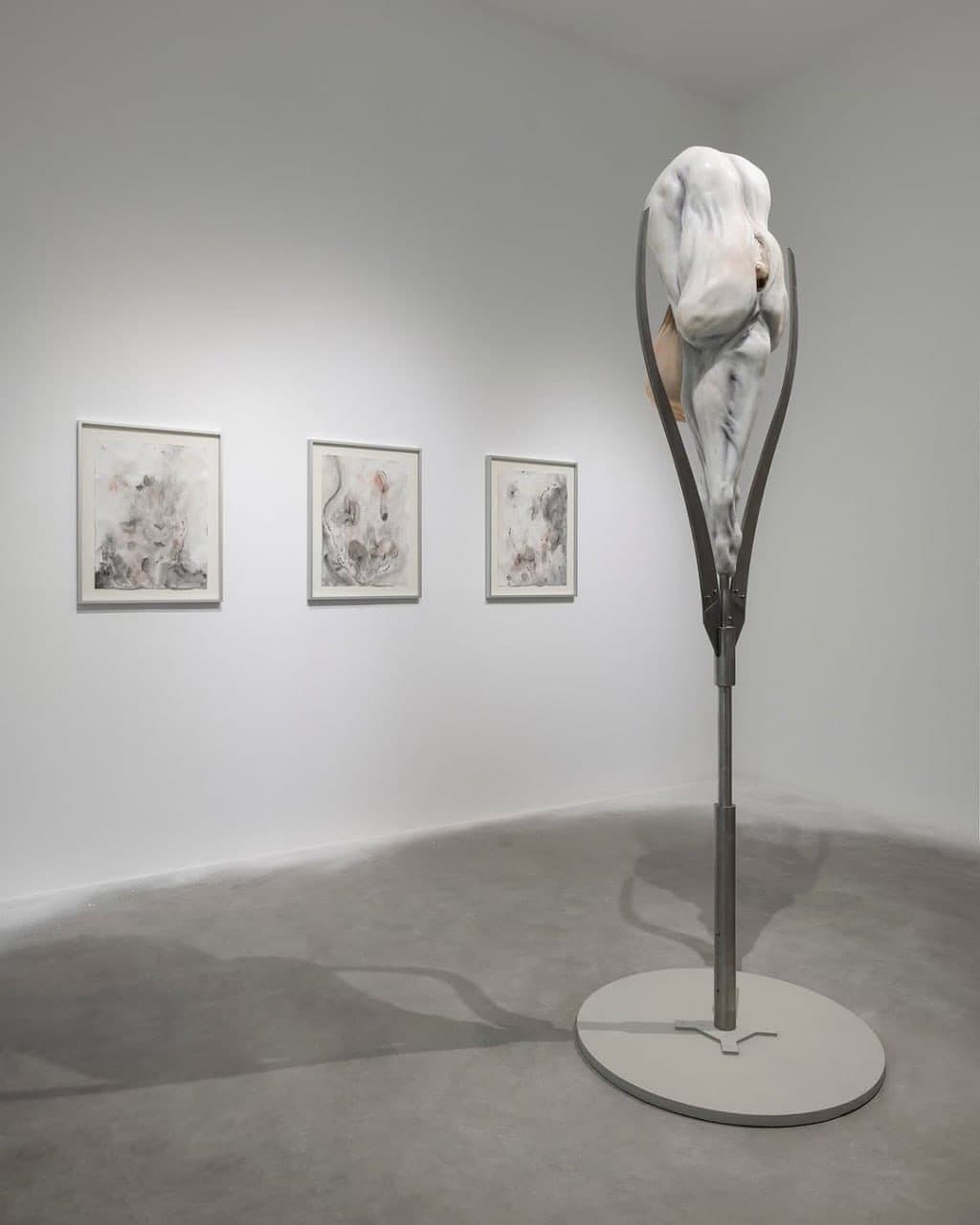 FANTASY VANISHES IN FLESH installation view 2