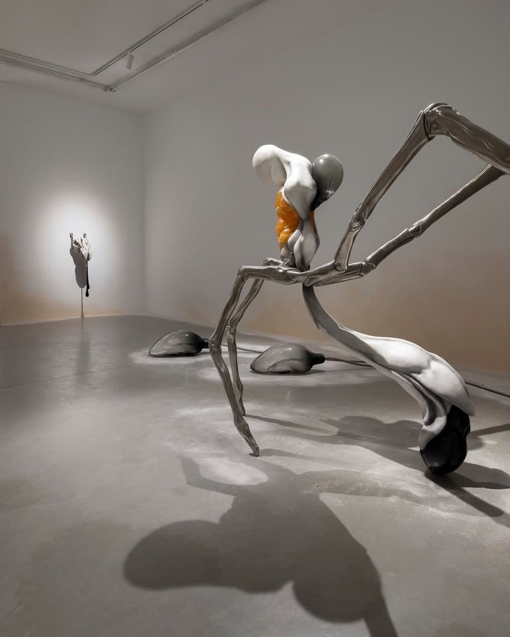 FANTASY VANISHES IN FLESH installation view 6