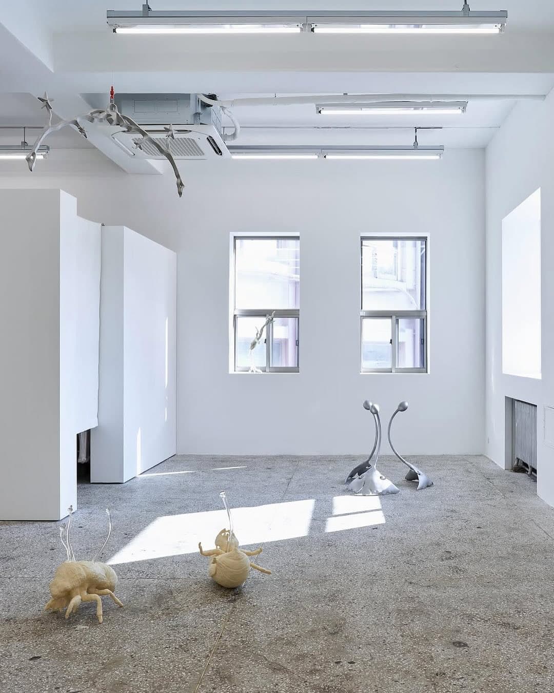 FARM installation view 4