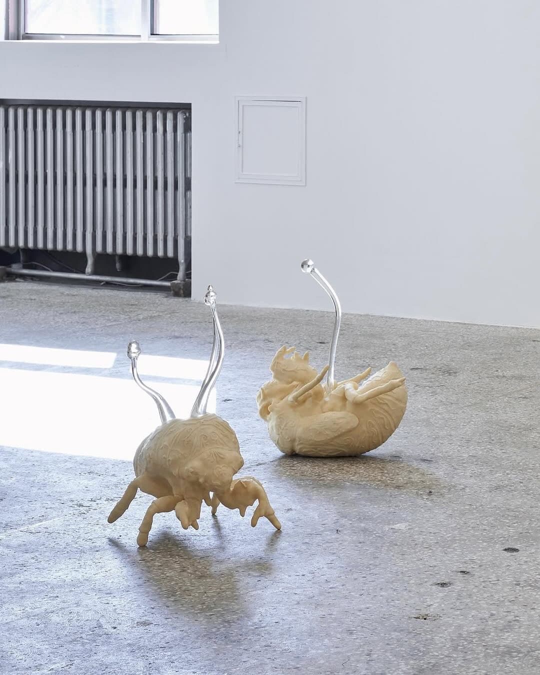 FARM installation view 5