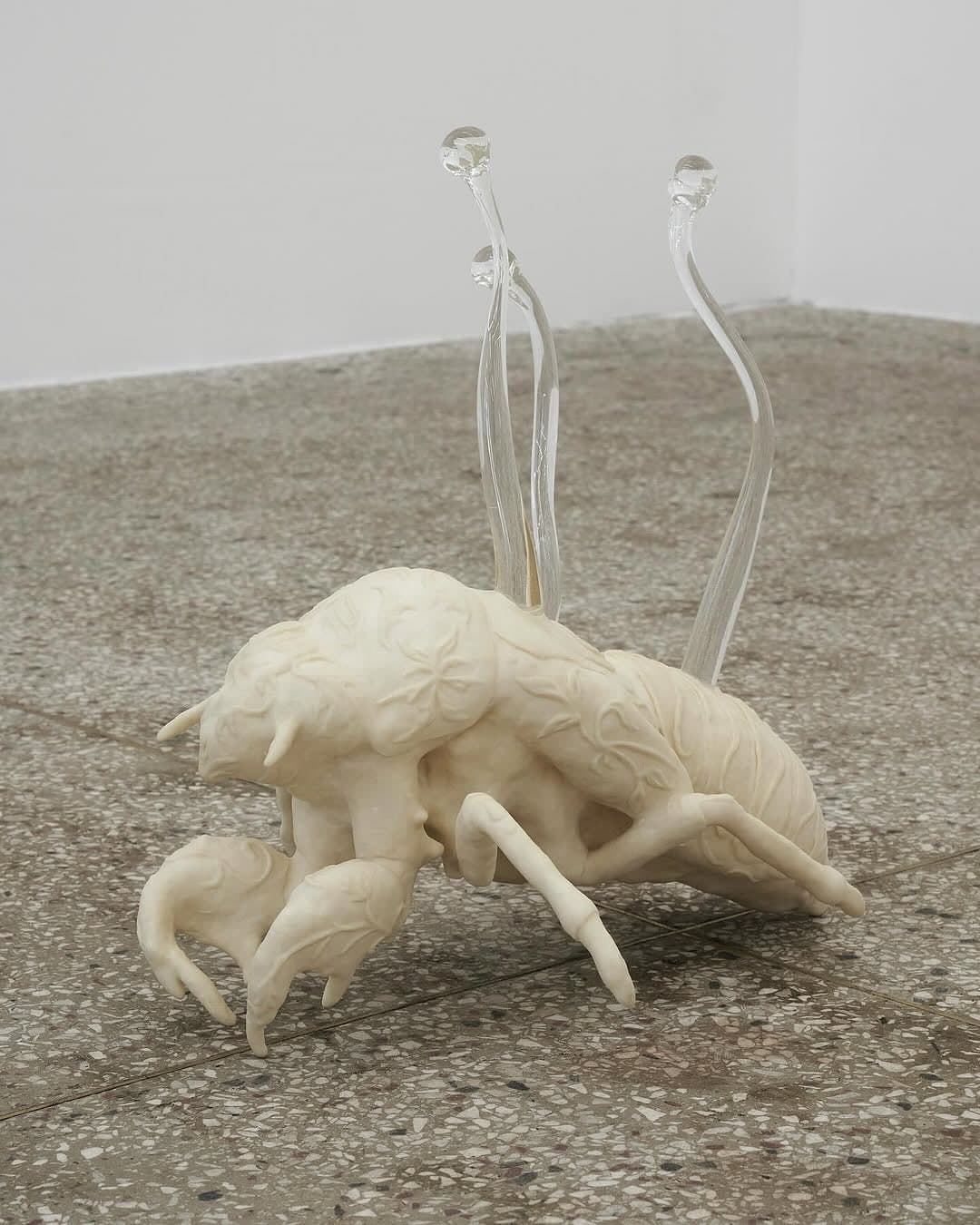 FARM installation view 6