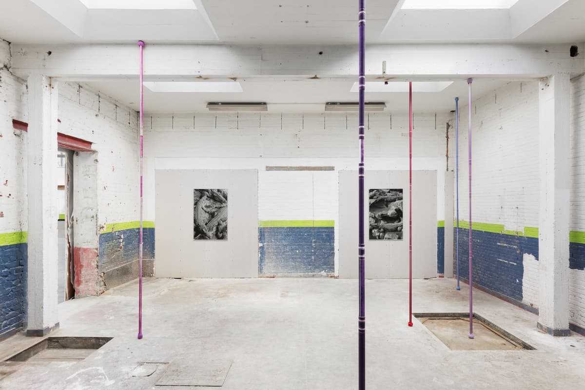 First Date installation view 10