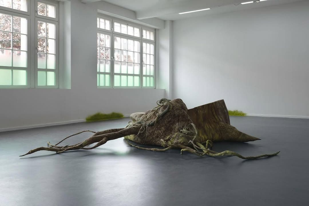 GREEN GROWTH installation view