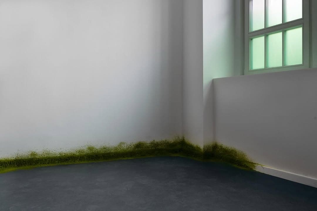 GREEN GROWTH installation view 9