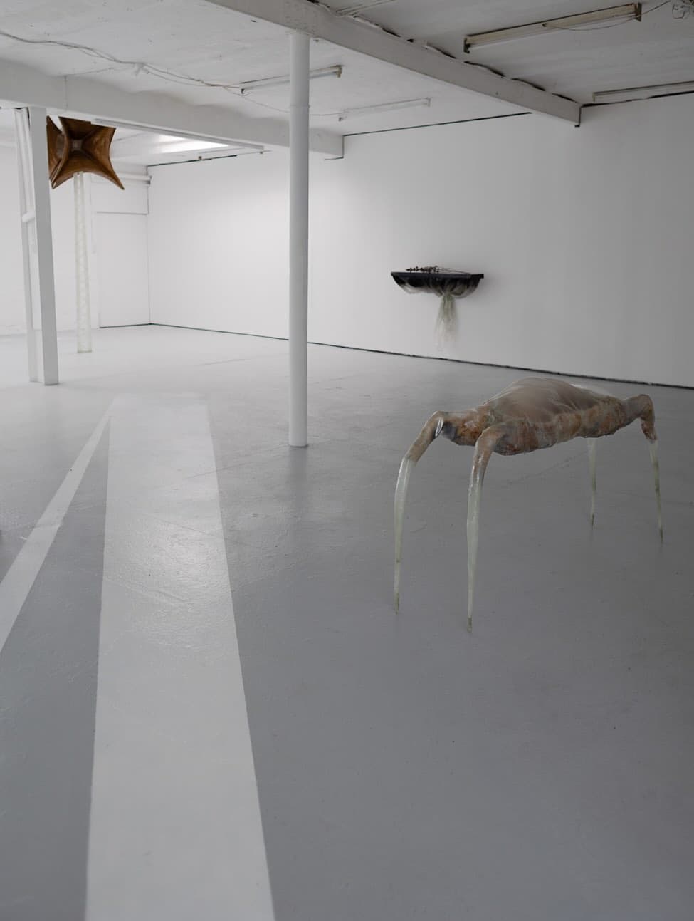JUST ABOUT AND NEVER installation view 4