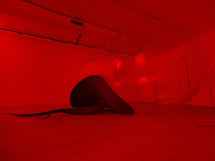 LUCA installation view 2