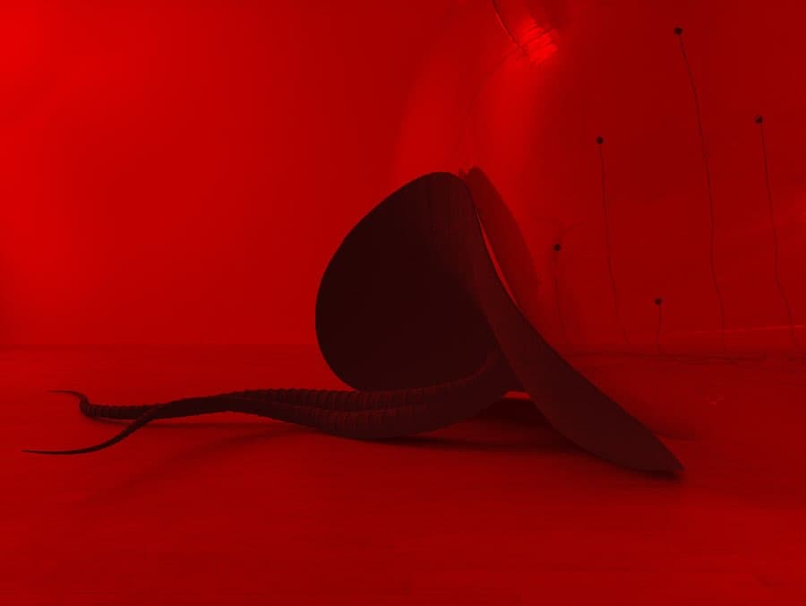 LUCA installation view 3
