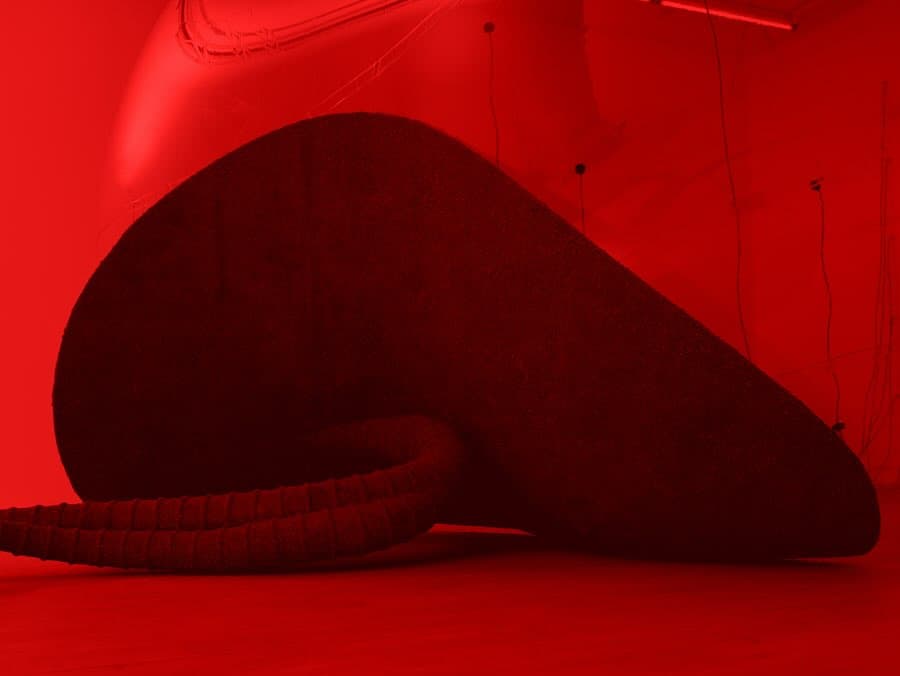 LUCA installation view 4