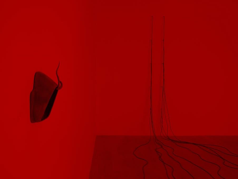 LUCA installation view 6