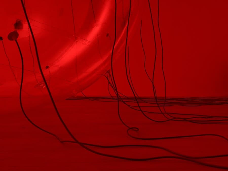 LUCA installation view 8