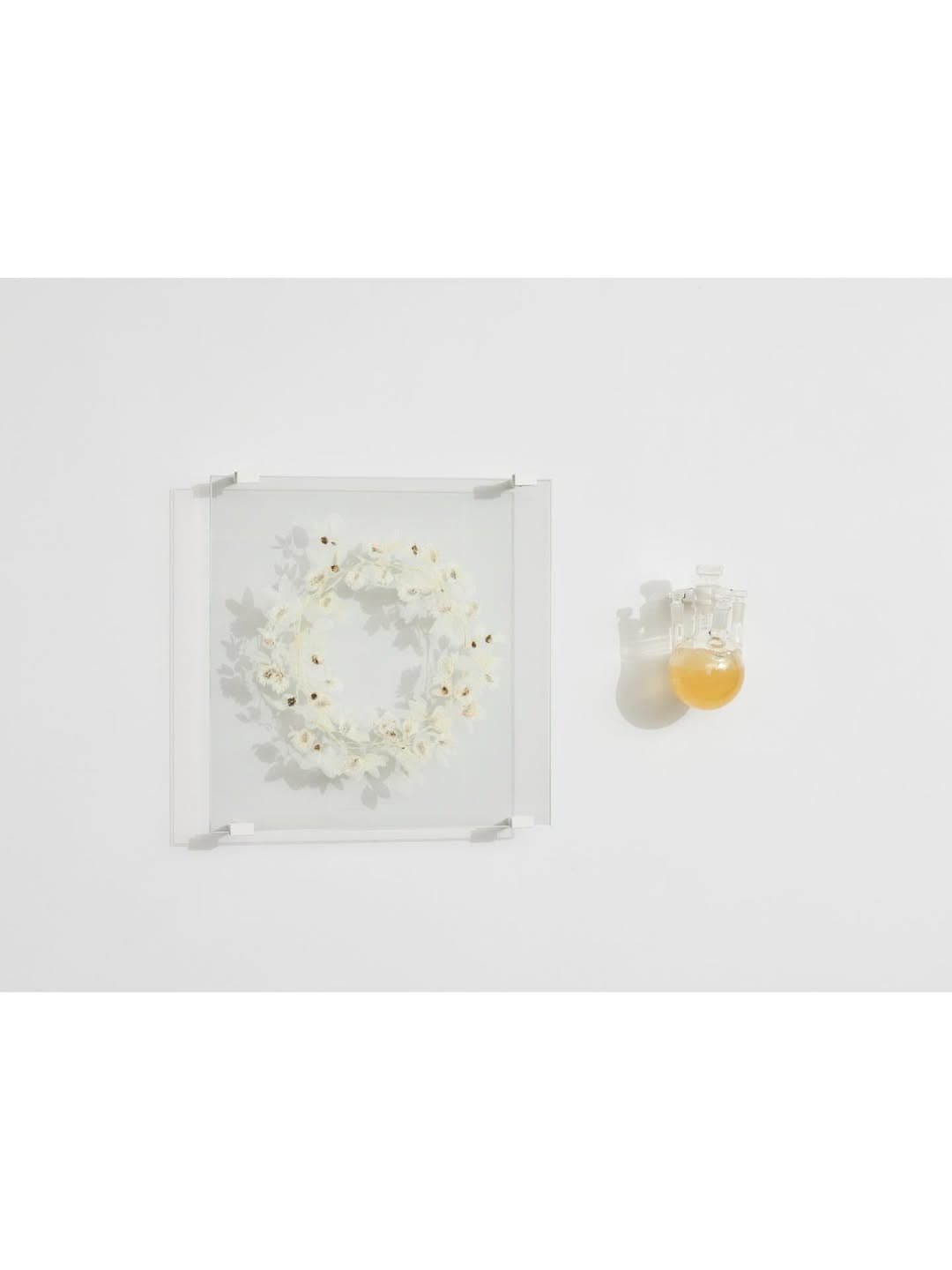 MOONLIT BOTANICAL COLOUR THEORIES installation view 10