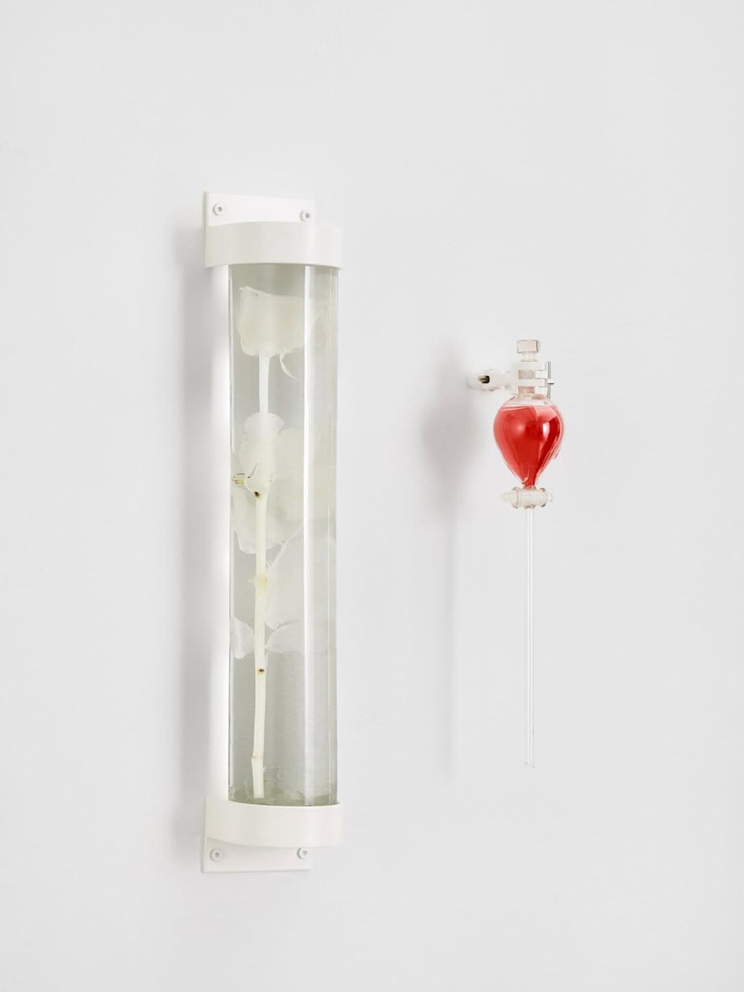 MOONLIT BOTANICAL COLOUR THEORIES installation view 14