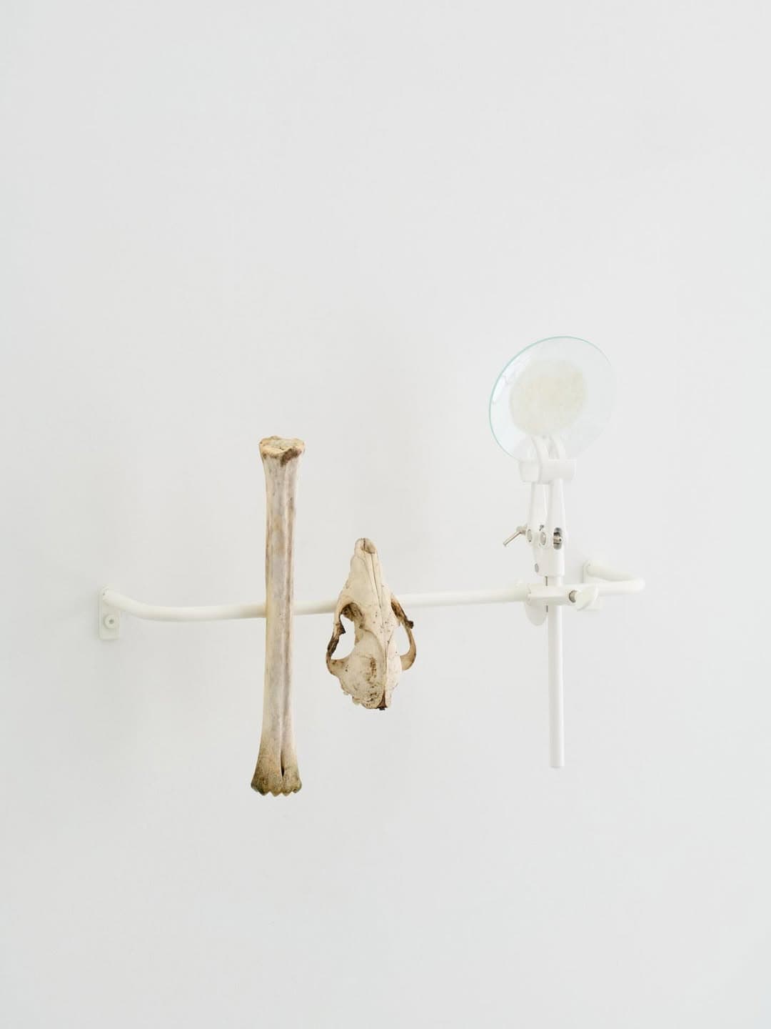 MOONLIT BOTANICAL COLOUR THEORIES installation view 6