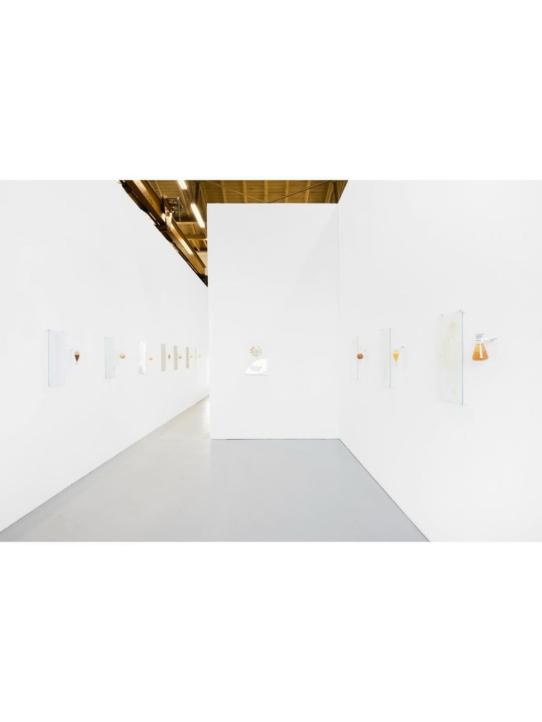 MOONLIT BOTANICAL COLOUR THEORIES installation view 7