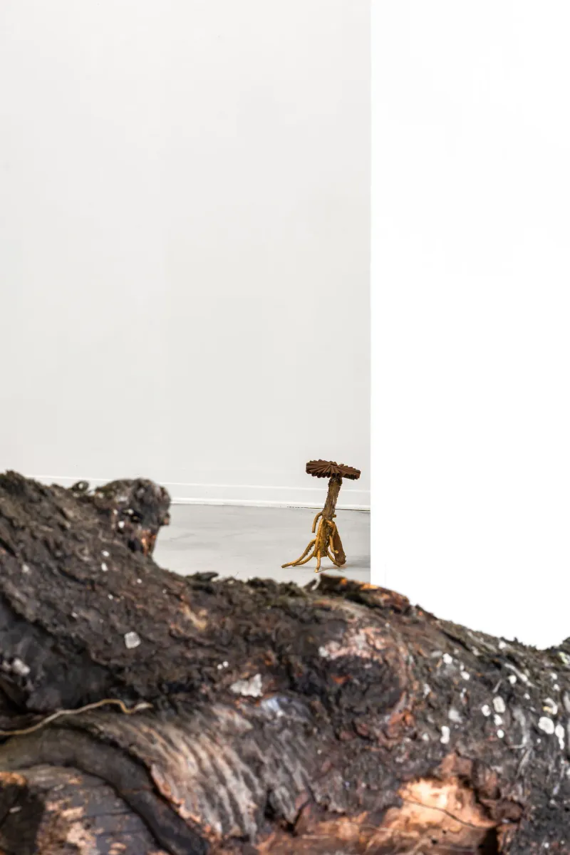 OLD SNAG installation view 12