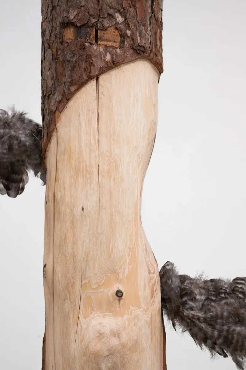 OLD SNAG installation view 2