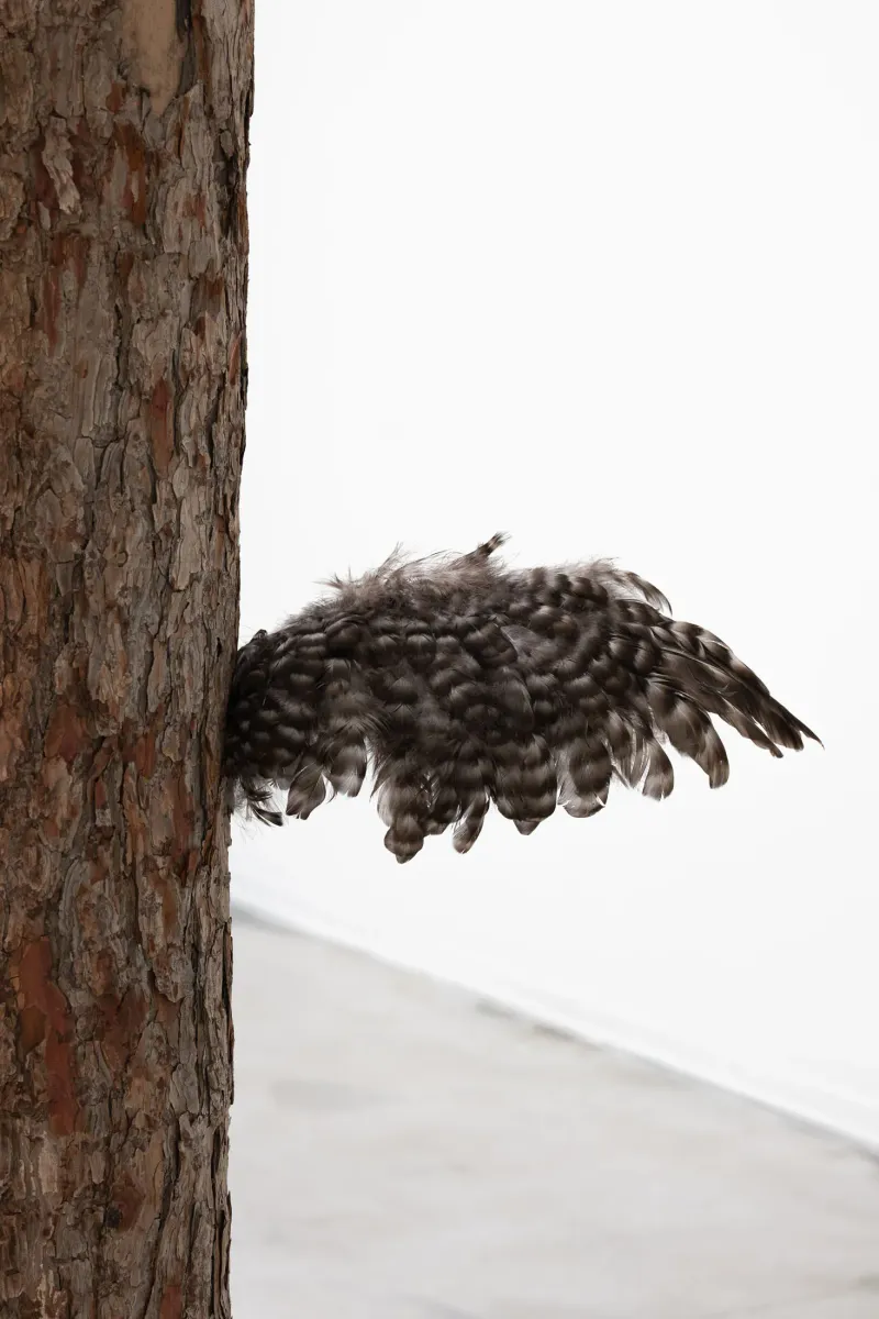 OLD SNAG installation view 3