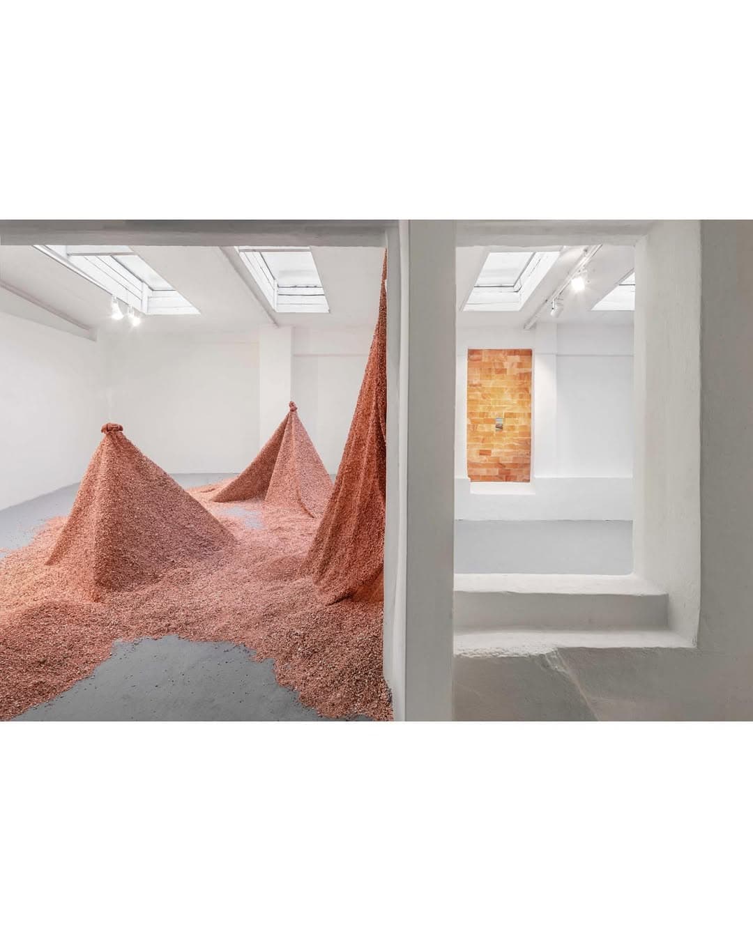 PETRICHOR installation view 3
