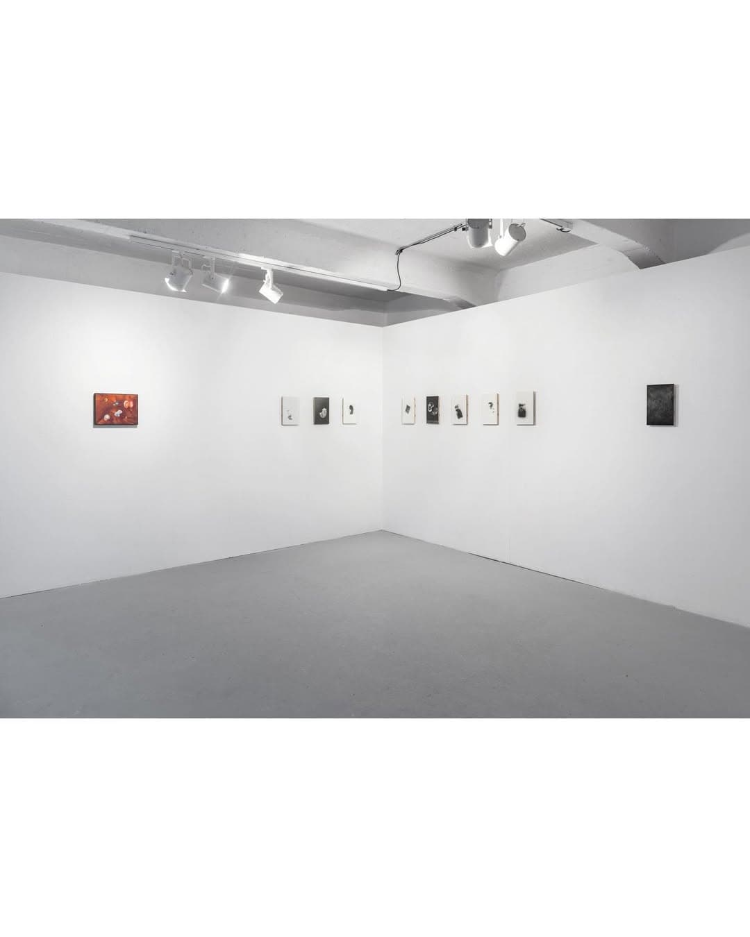 PETRICHOR installation view 6