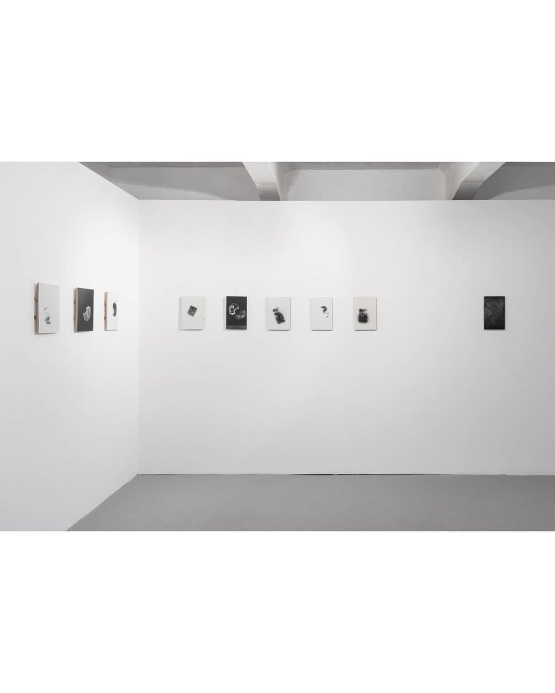 PETRICHOR installation view 8